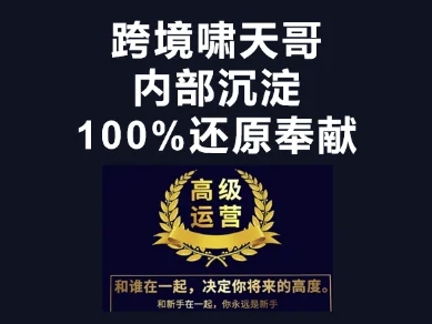 漫威跨境特训营-跨境电商教程-林文副业站
