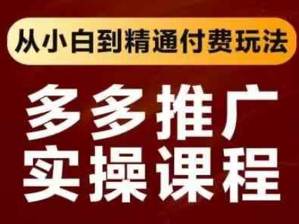 拼多多推广实操课程，从小白到精通付费玩法-林文副业站