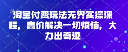 淘宝付费玩法无界实操课程，高价解决一切烦恼，大力出奇迹-林文副业站