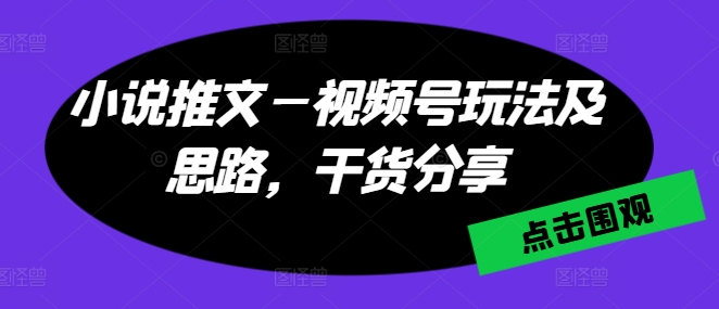 图片[1]-小说推文—视频号玩法及思路，干货分享-林文副业站