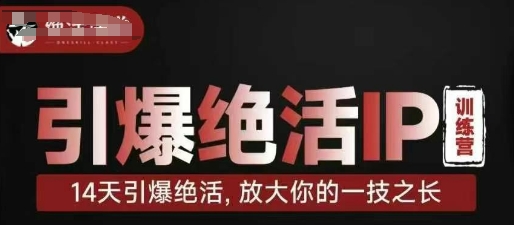 引爆绝活IP训练营，14天引爆绝活，放大你的一技之长-林文副业站
