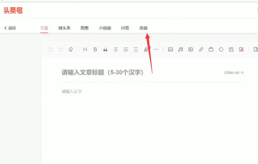 头条号发音频，收益是视频的30倍，一台手机即可操作-林文副业站