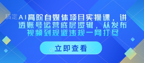 AI高阶自媒体项目实操课，讲透账号运营底层逻辑，从发布视频到规避违规一网打尽-林文副业站