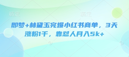 即梦+林黛玉完爆小红书商单，3天涨粉1千，靠怼人月入5k+-林文副业站