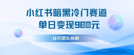 小红书冷门”暗黑”赛道，单日收益多张-林文副业站