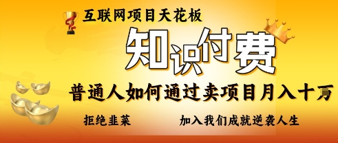 互联网项目天花板，知付付费项目，普通人如何通过卖项目月入十个，拒绝韭菜【揭秘】-林文副业站