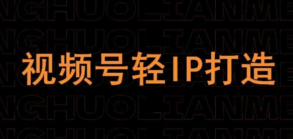 视频号线上课程，视频号轻IP打造-林文副业站
