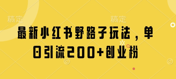 最新小红书野路子玩法，单日引流200+创业粉-林文副业站