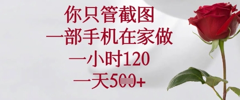 你只管截图，一部手机在家做，苹果安卓都可以，一小时120，一天5张+【揭秘】-林文副业站