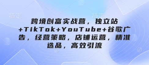跨境创富实战营，独立站+TikTok+YouTube+谷歌广告，经营策略，店铺运营，精准选品，高效引流-林文副业站