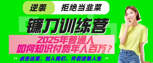 【网创项目终点站-镰刀训练营超级IP合伙人】25年普通人如何通过知识付费实现逆袭【揭秘】-林文副业站