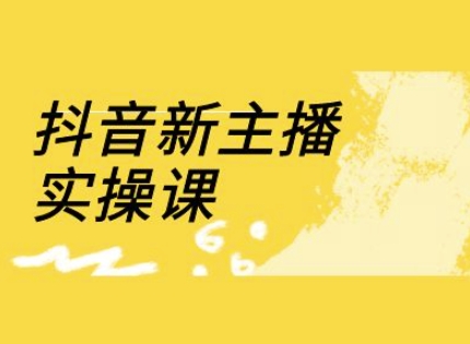 抖音新主播实操课，直播间流量运营线上实操课(18节)-林文副业站