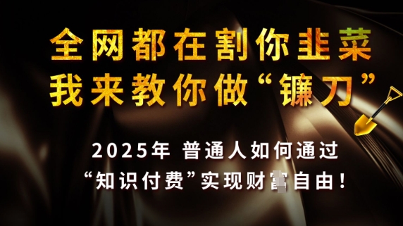 全网都在割你韭菜，我来教你做镰刀，2025普通人如何通过知识付费，实现财F自由【揭秘】-林文副业站
