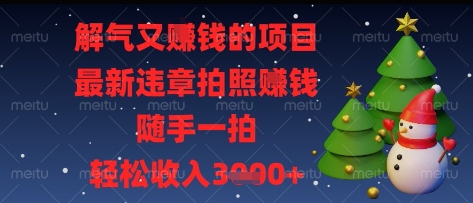 解气又挣钱的项目，最新违章拍照挣钱，随手一拍，轻松收入多张【揭秘】-林文副业站