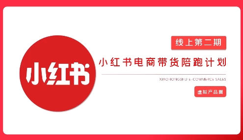 2025小红书虚拟电商实战课，从0到1打造无货源店铺，AI+爆款笔记轻松变现-林文副业站