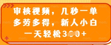 审核视频，几秒一单，多劳多得，新人小白一天轻松3张【揭秘】-林文副业站