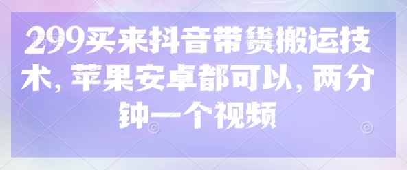 299买来抖音带货搬运技术，苹果安卓都可以，两分钟一个视频-林文副业站