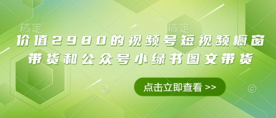 价值2980的视频号短视频橱窗带货和公众号小绿书图文带货-林文副业站