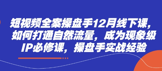 短视频全案操盘手12月线下课，如何打通自然流量，成为现象级IP必修课，操盘手实战经验-林文副业站
