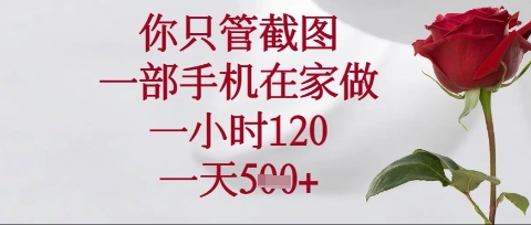 你只管截图，一部手机在家操作，一小时120.一天5张【揭秘】-林文副业站
