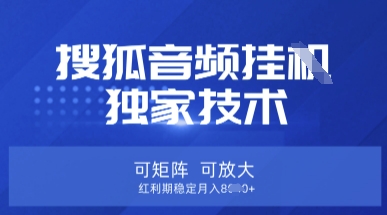 【搜狐音频挂G】独家技术，可矩阵可放大，红利期稳定月入8k【揭秘】-林文副业站