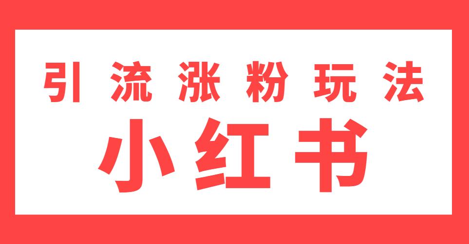 雨果：不用写文章，不用拍照片，小红书另类引流涨粉玩法（视频课程）-林文副业站