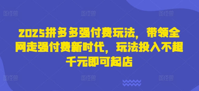 2025拼多多强付费玩法，带领全网走强付费新时代，玩法投入不超千元即可起店-林文副业站