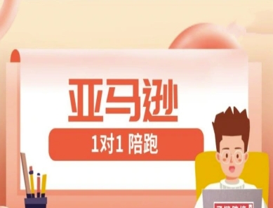 亚马逊1对1陪跑课(FBA/FBM精铺)跨境亚马逊教程-林文副业站