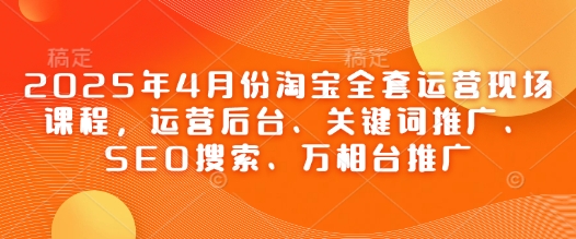 2025年4月份淘宝全套运营现场课程，运营后台、关键词推广、SEO搜索、万相台推广-林文副业站