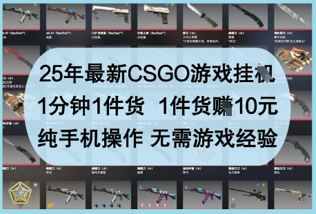 25年最新CSGO游戏挂G，1分钟1件货，1件货挣10元，纯手机操作，无需游戏经验【揭秘】-林文副业站