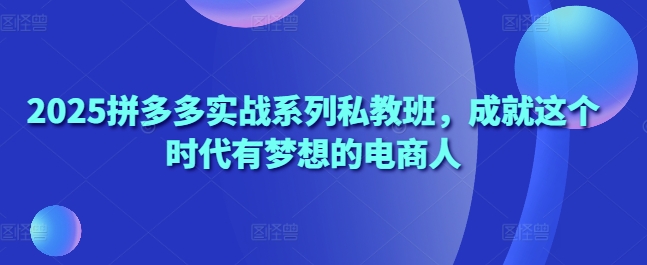 2025拼多多实战系列私教班，成就这个时代有梦想的电商人-林文副业站