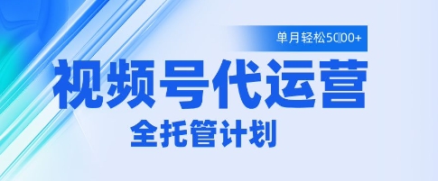 视频号代运营2.0，全程托管招募，单月轻松变现5k【揭秘】-林文副业站