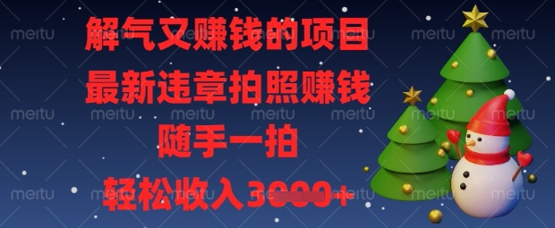 解气又挣钱的项目，最新违章拍照挣钱，随手一拍，轻松收入数张【揭秘】-林文副业站