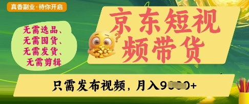 京东短视频带货，开启零门槛躺Z新时代【揭秘】-林文副业站
