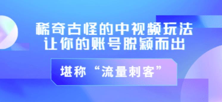 图片[1]-不讲李·稀奇古怪的冷门中视频冷门玩法，让你的账号脱颖而出，成为流量刺客！（图文+视频）-林文副业站