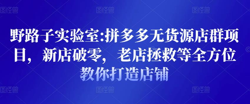 图片[1]-野路子实验室:拼多多无货源店群项目，新店破零，老店拯救等全方位教你打造店铺-林文副业站