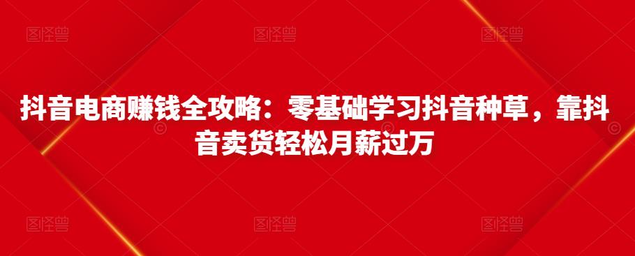 图片[1]-抖音电商赚钱全攻略：零基础学习抖音种草，靠抖音卖货轻松月薪过万-林文副业站