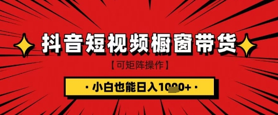抖音短视频食品橱窗带货，小白轻松上手日入1k+【揭秘】-林文副业站
