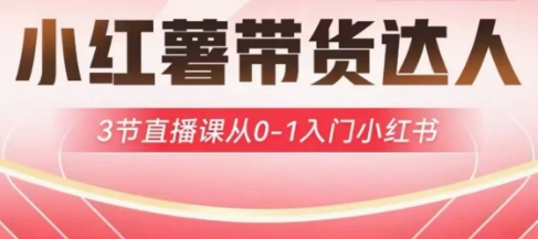 小红薯达人带货启航计划，3节直播课从0-1入门小红书-林文副业站