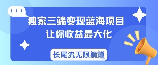 独家三端变现蓝海项目，让你收益最大化，长尾流无限躺挣-林文副业站