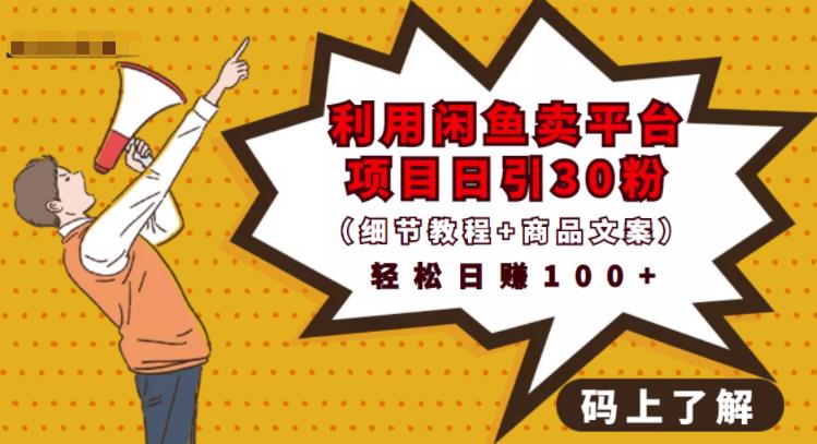 图片[1]-利用闲鱼卖平台项目课程资源日引流30+精准粉丝，轻松日赚100+，积累人脉可实现二次变-林文副业站