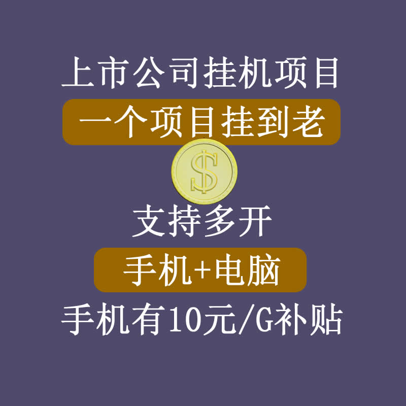 图片[1]-正规挂机项目，支持手机电脑一起挂，支持虚拟机多开，可以挂到老-林文副业站