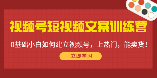 图片[1]-视频号短视频文案训练营：0基础小白如何建立视频号，上热门，能卖货！-林文副业站
