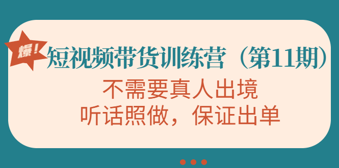 图片[1]-视频带货训练营，不需要真人出境，听话照做，保证出单（第11期）-林文副业站