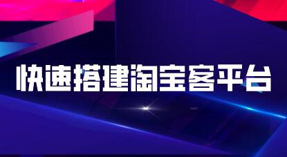快速搭建淘宝客平台，3天即可完成专属自己的淘宝客平台-林文副业站