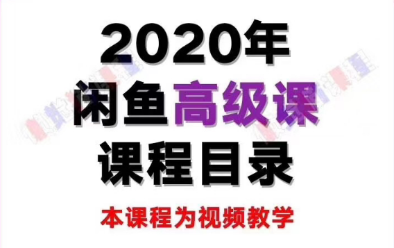 懒觉猫闲鱼初级+高级课程 – 副业月入过万实操讲解 纯干货（无水印）-林文副业站