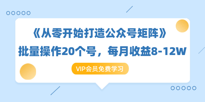图片[1]-《从零开始打造公众号矩阵》批量操作20个号，每月收益大概8-12W（44节课）-林文副业站