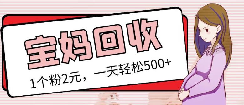 图片[1]-最新小红书母婴号宝妈粉回收项目，1个粉2元，一天轻松500+案例分享【粉丝包回收】-林文副业站