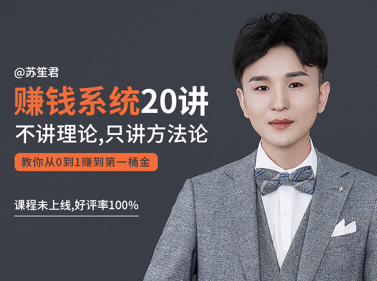 图片[1]-苏笙君的赚钱系统20课 教你从0到1赚到你的第一桶金（不讲理论，只讲方法论）-林文副业站