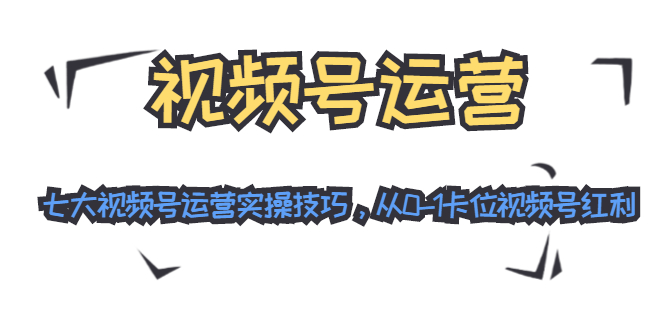 图片[1]-视频号运营：七大视频号运营实操技巧，从0-1卡位视频号红利-林文副业站